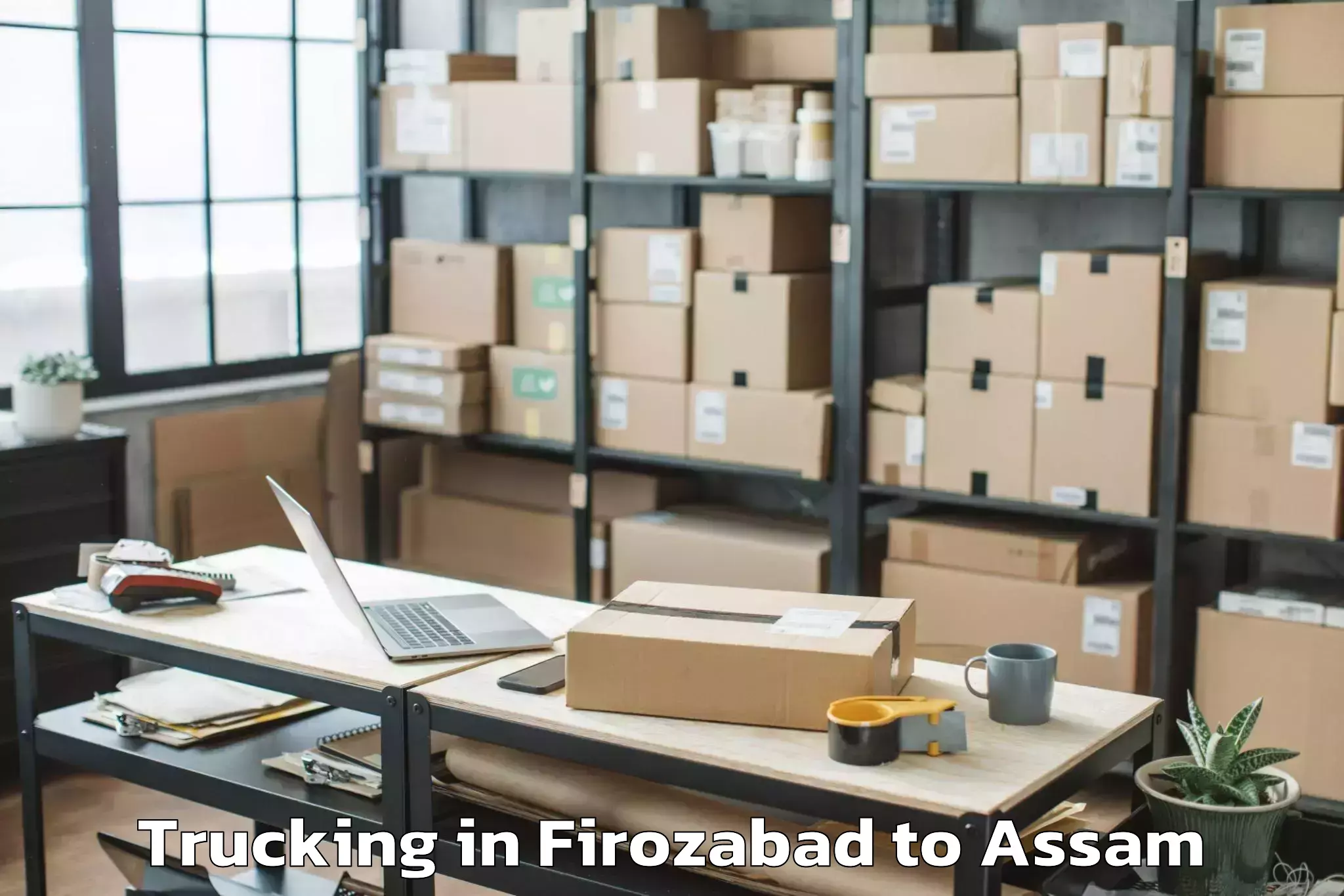 Easy Firozabad to Bokajan Trucking Booking